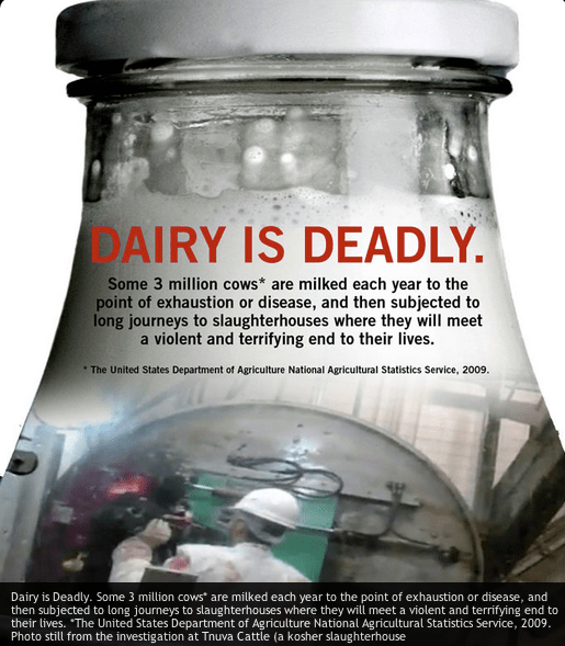 Screen Shot 2012-12-12 at 5.40.14 PM