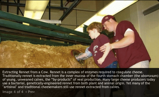 Screen Shot 2012-12-12 at 5.40.36 PM