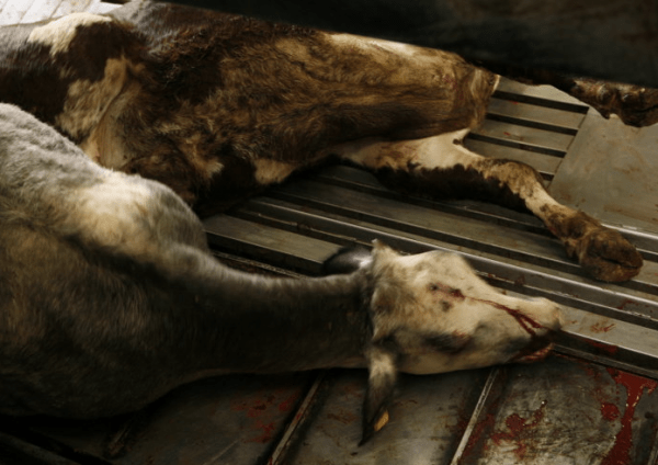 Screen Shot 2013-01-05 at 3.56.12 PM