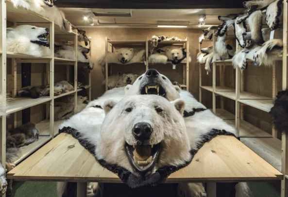 Screen Shot 2013-03-12 at 9.33.22 AM