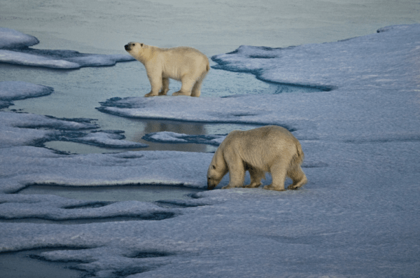 Screen Shot 2013-03-22 at 10.04.59 AM