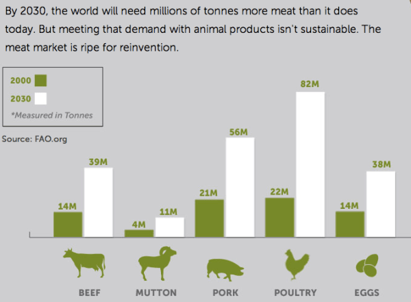 Meat COnsumption 2030