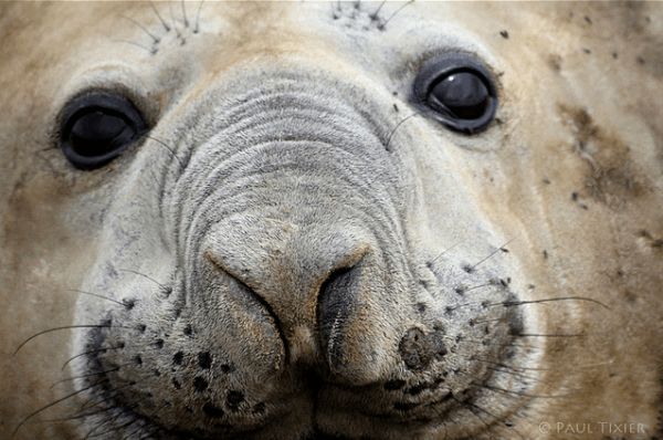 Photographer: http://www.flickr.com/photos/paultixier/