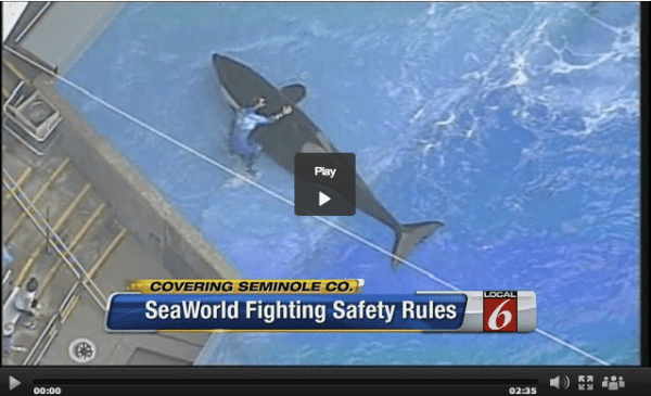 Screen Shot 2013-04-25 at 3.12.36 PM