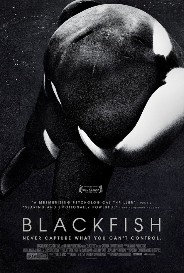 blackfish-poster