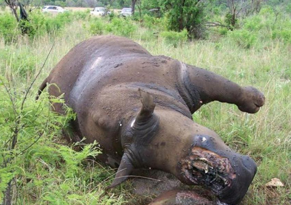 Screen Shot 2013-06-13 at 3.43.10 PM