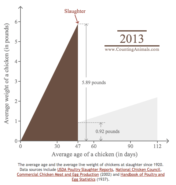 Screen Shot 2013-10-08 at 2.05.38 PM