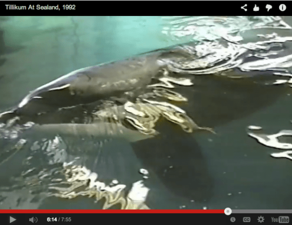 Screen Shot 2014-08-22 at 1.35.54 PM