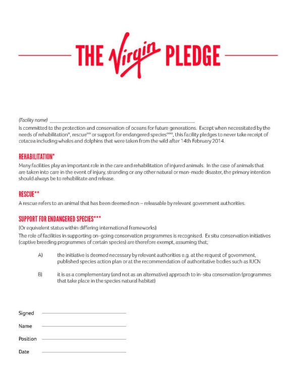 THE_VIRGIN_PLEDGE_crop_sept_2014-1