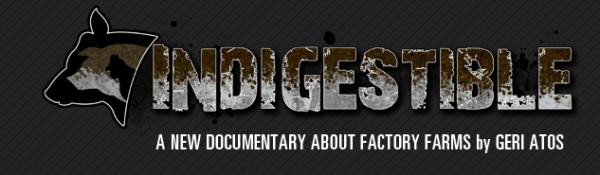 Screen Shot 2015-04-17 at 10.00.51 AM